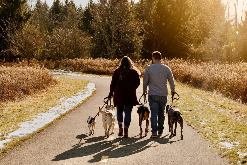 dog training in North Ridgeville, Avon, Avon Lake, North Olmsted, Elyria, Lorain, Amherst, Vermillion, Westlake, Bay Village, North Olmsted, Olmsted Falls, Lorain county and Cuyahoga county